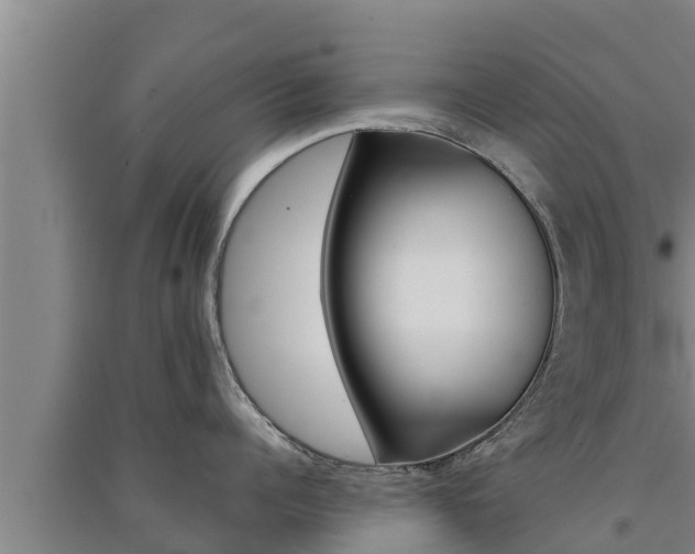 X0000091520960200708171007