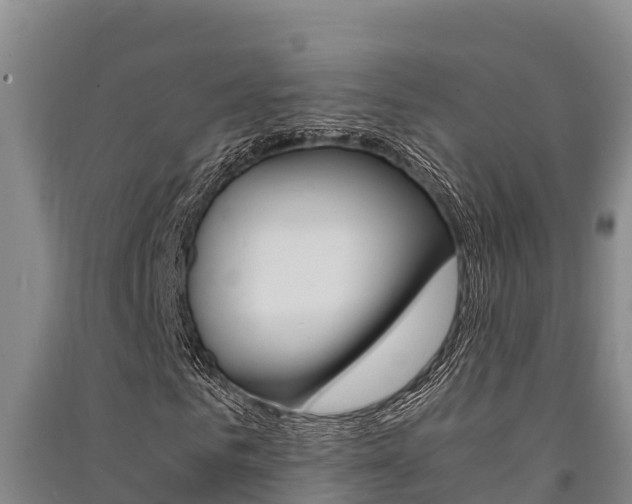 X0000091520961200708171006