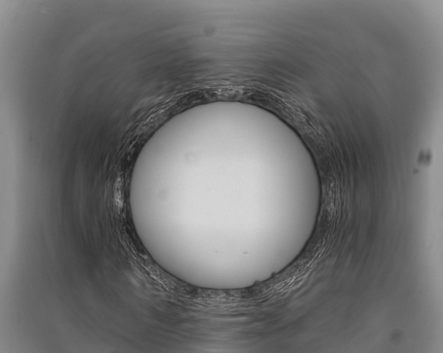 X0000091520962200708171006