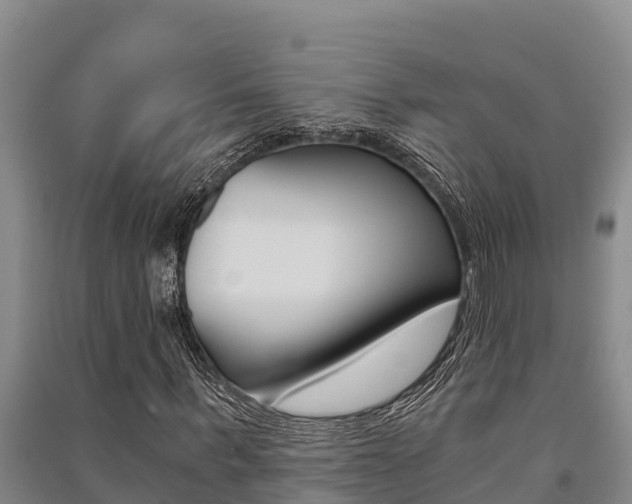 X0000091520963200708171006