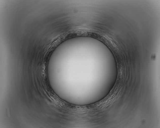 X0000091520964200708171006