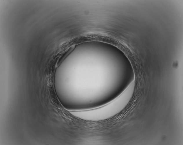 X0000091520965200708171006