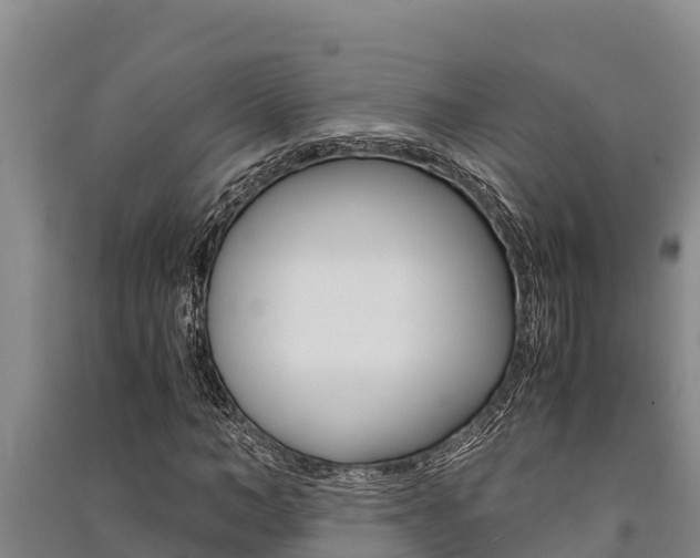 X0000091520966200708171006