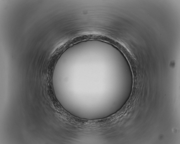 X0000091520967200708171006