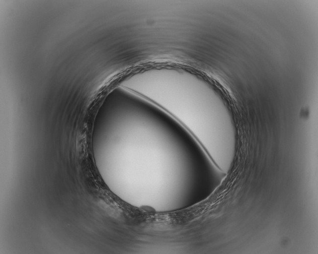 X0000091520968200708171006