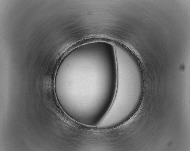 X0000091520969200708171006