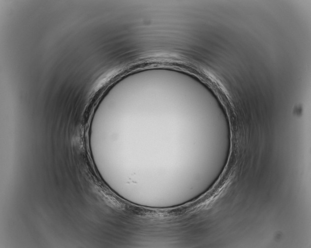 X0000091520970200708171006