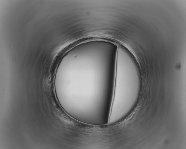 X0000091520971200708171006