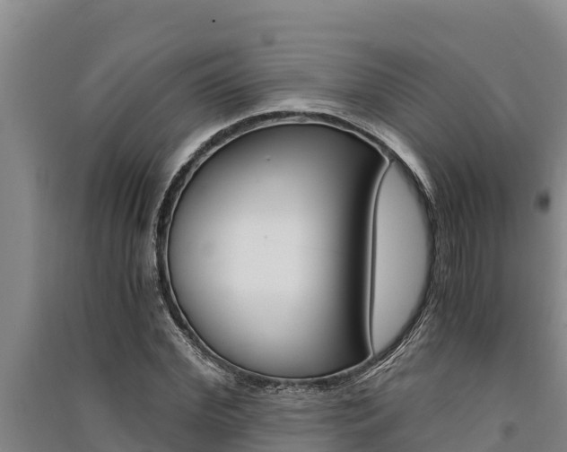 X0000091520972200708171006