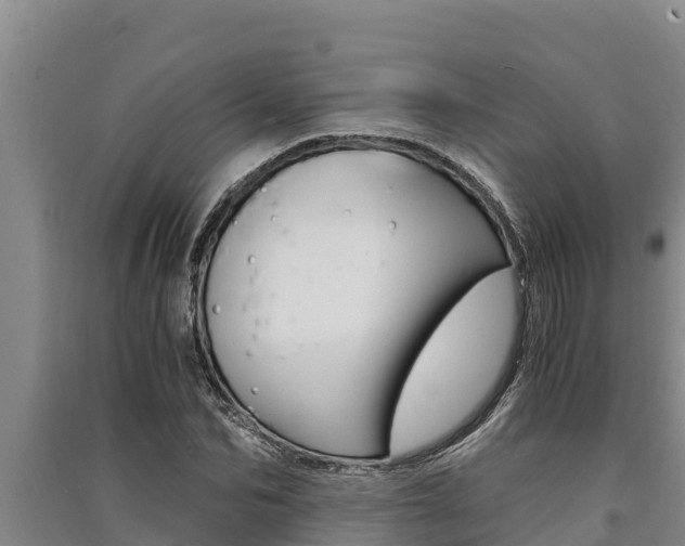 X0000091520974200708171006