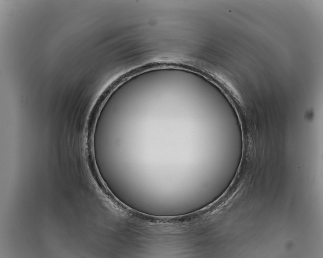 X0000091520976200708171006