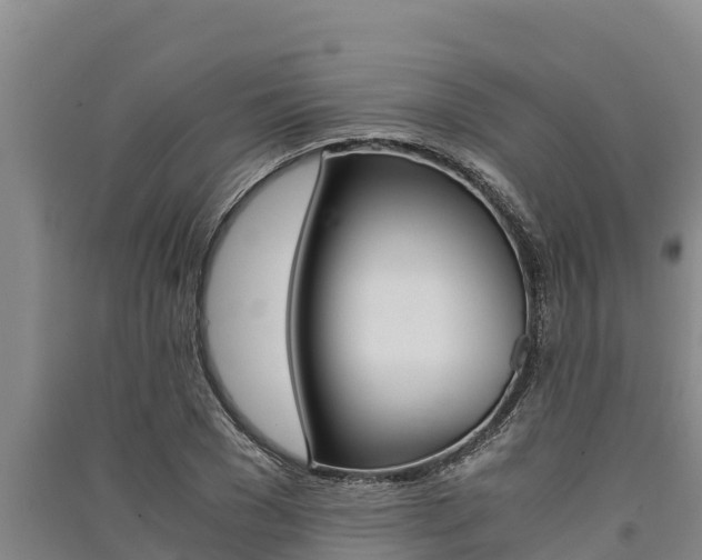 X0000091520977200708171006