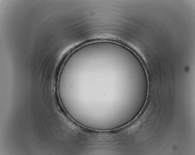X0000091520979200708171006