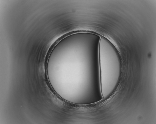 X0000091520980200708171006