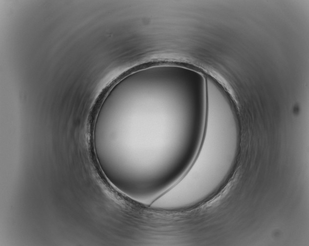 X0000091520981200708171006
