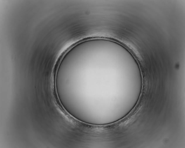 X0000091520982200708171006