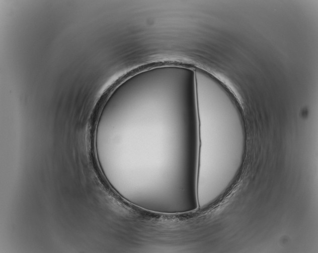 X0000091520983200708171006
