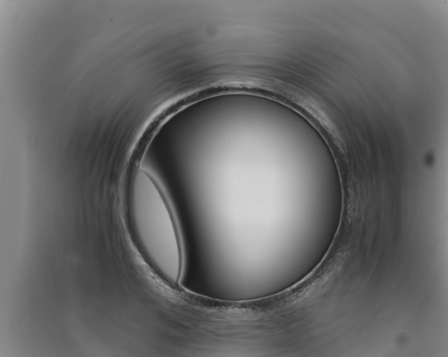 X0000091520984200708171006