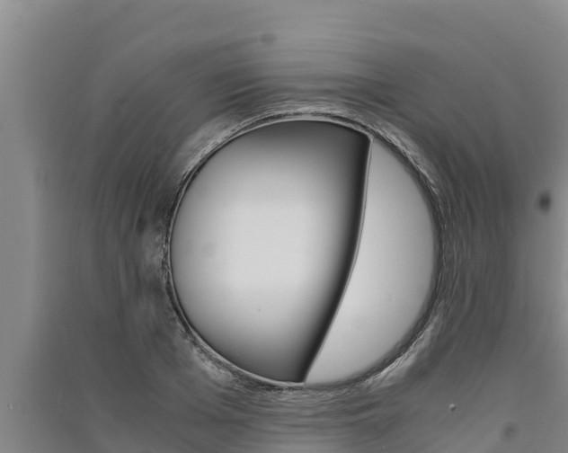 X0000091520985200708171006