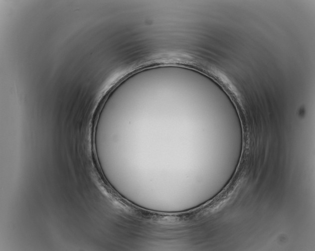 X0000091520986200708171006