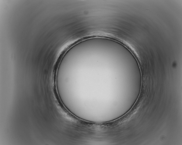 X0000091520987200708171006