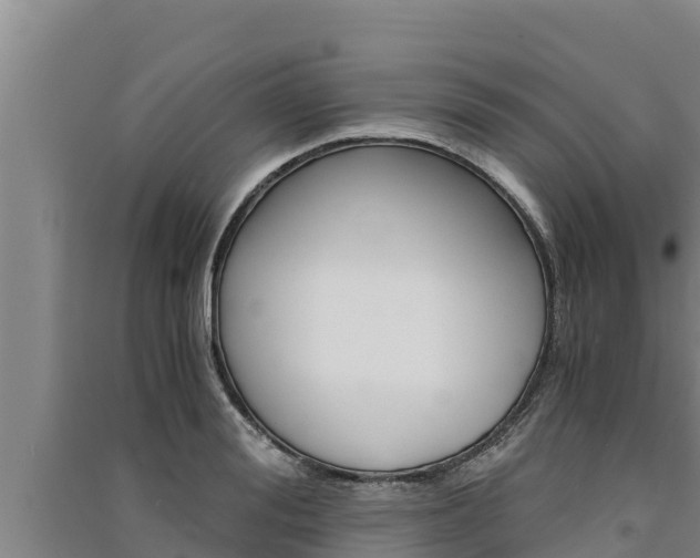 X0000091520988200708171006