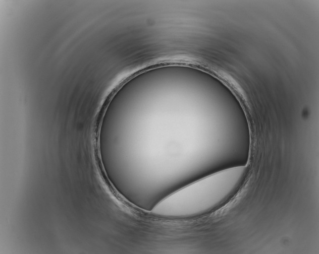 X0000091520989200708171006
