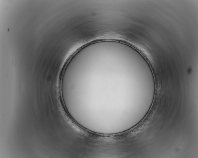 X0000091520990200708171006
