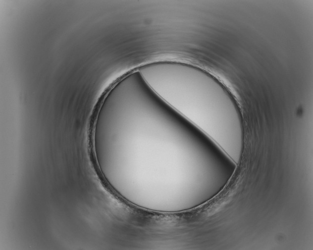 X0000091520991200708171006