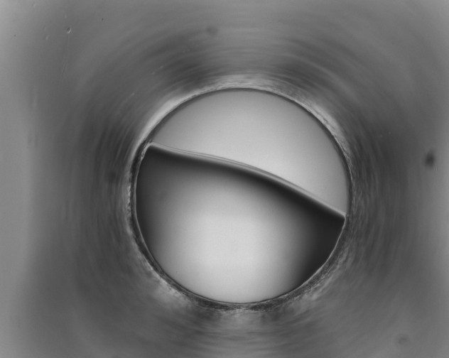X0000091520992200708171006
