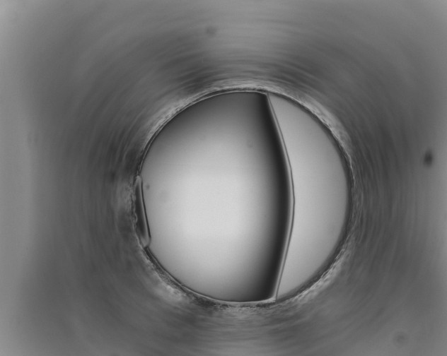 X0000091520993200708171006