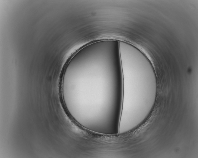 X0000091520995200708171006