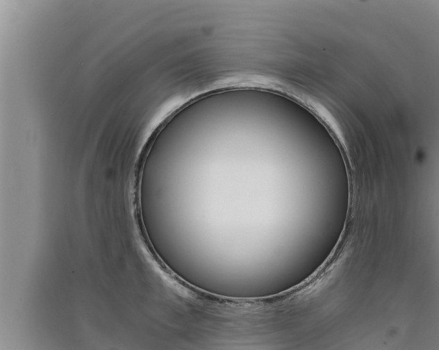 X0000091520997200708171006
