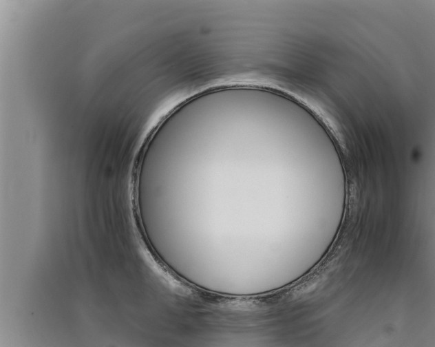 X0000091520998200708171006
