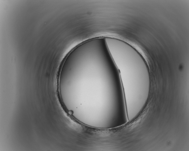 X0000091520999200708171006