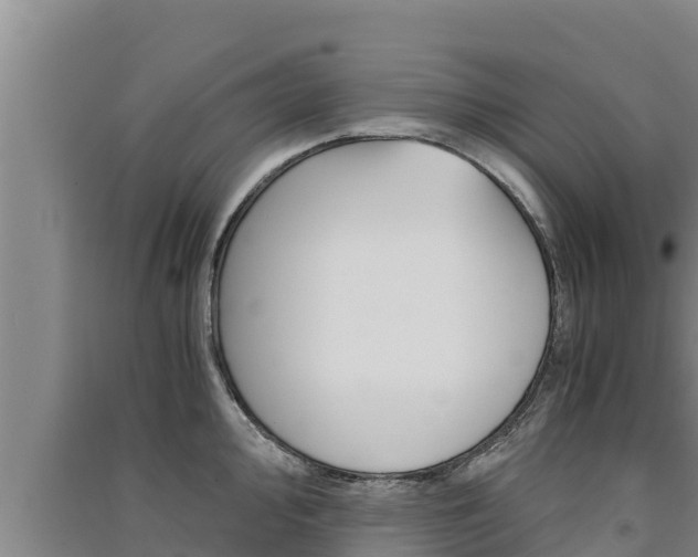 X0000091521000200708171006