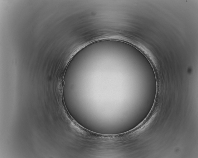 X0000091521001200708171006