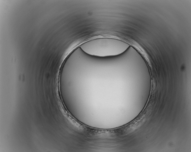 X0000091521002200708171006