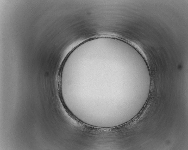 X0000091521003200708171006