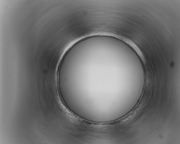 X0000091521004200708171006