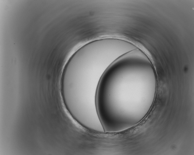 X0000091521005200708171006
