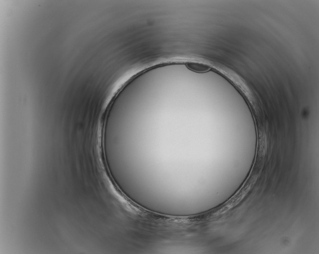 X0000091521006200708171006