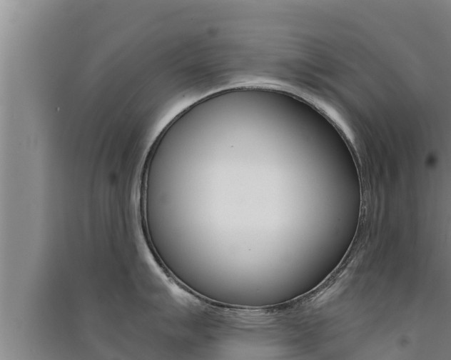 X0000091521007200708171006