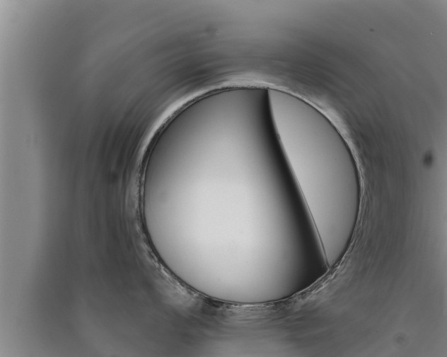 X0000091521008200708171006