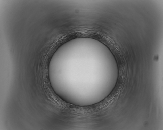 X0000091521009200708171005