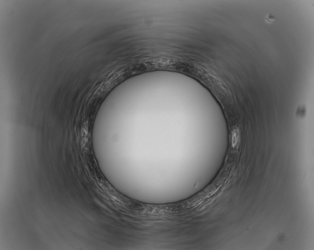 X0000091521011200708171005