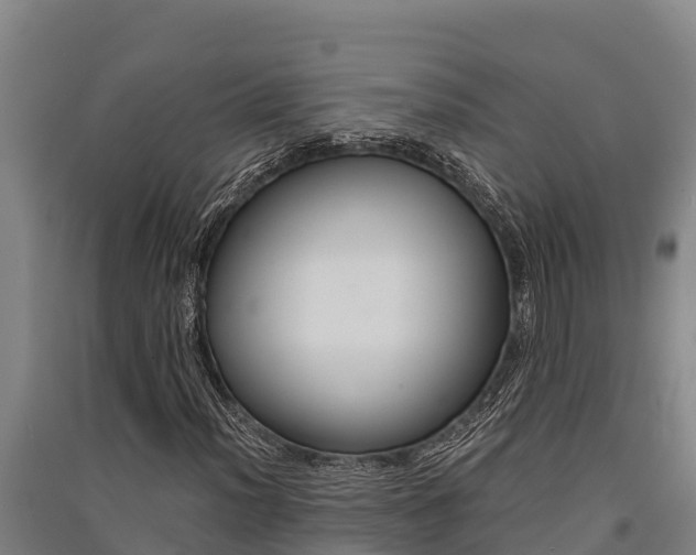 X0000091521012200708171005