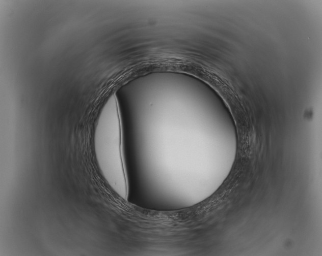 X0000091521013200708171005