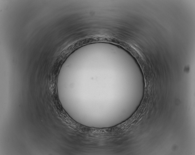 X0000091521015200708171005