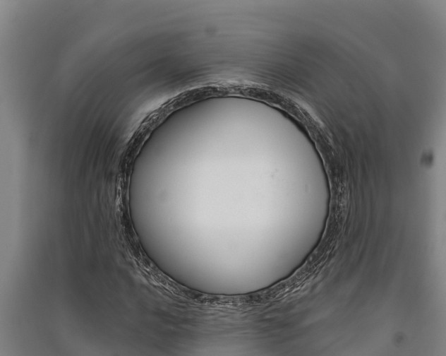 X0000091521016200708171005